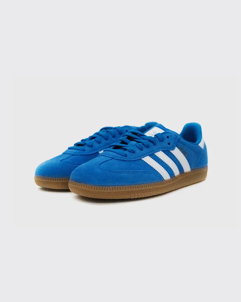 Adidas Samba ADV Shoe