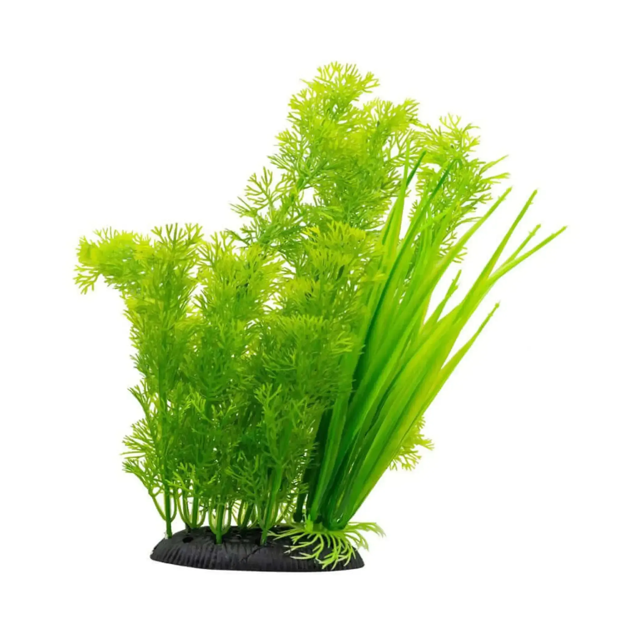 AquaSpectra Kabomba Plant Green 30cm