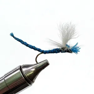 Blue Damsel Dry