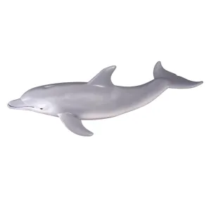 Bottlenose Dolphin