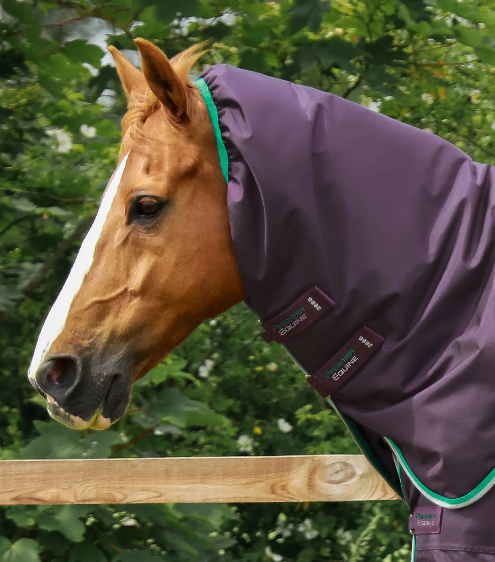 Buster 200g Turnout Rug with Snug-Fit Neck Cover Purple