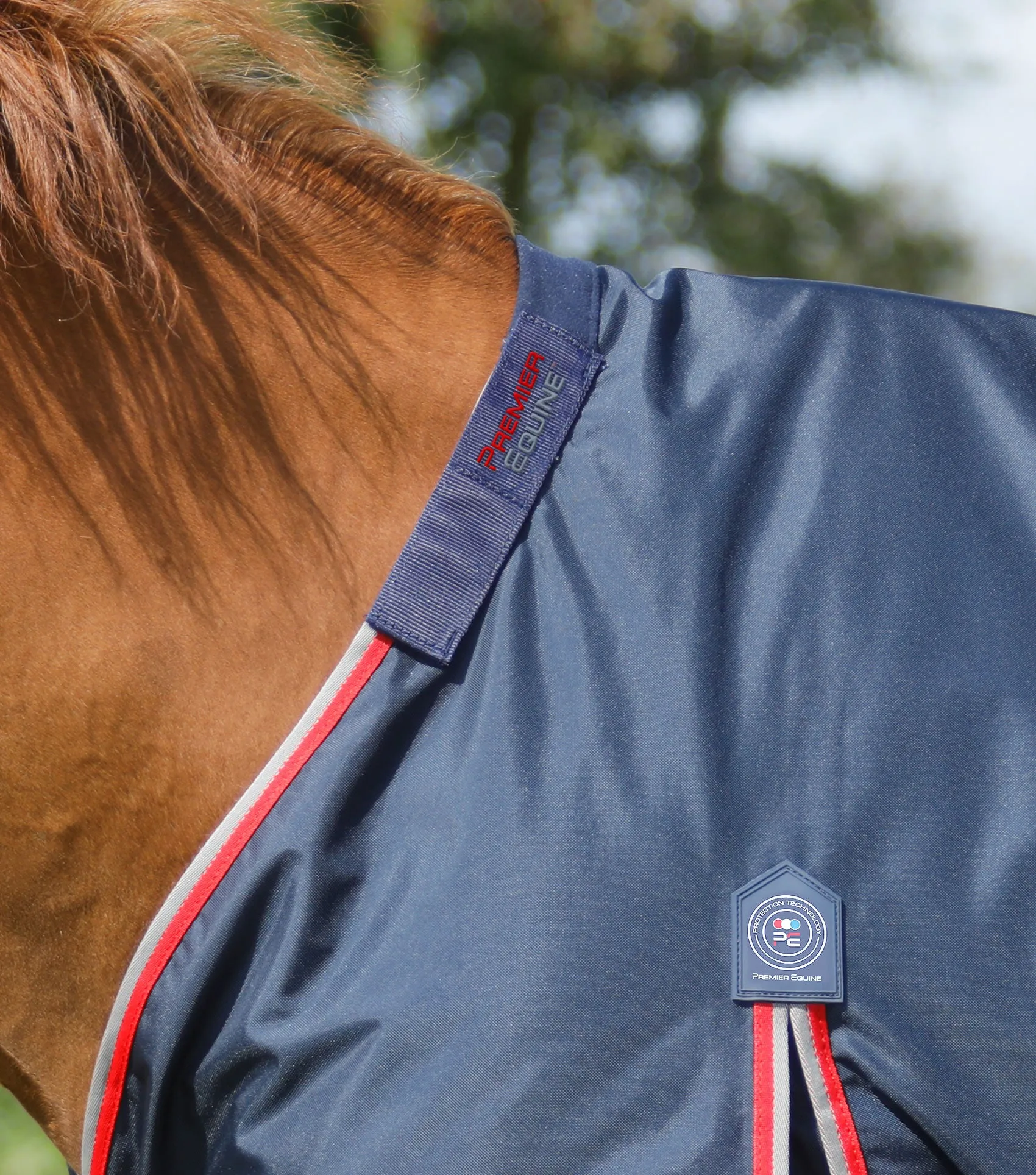 Buster 50g Turnout Rug with Snug-Fit Neck Cover Navy