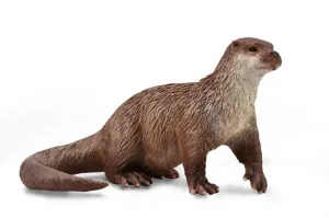 Common Otter