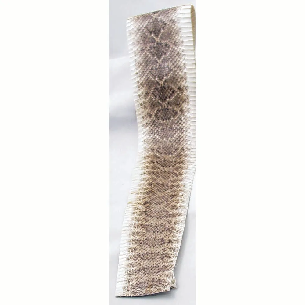 Eastern Rattlesnake Snake Skins - Diamondback Snakeskins