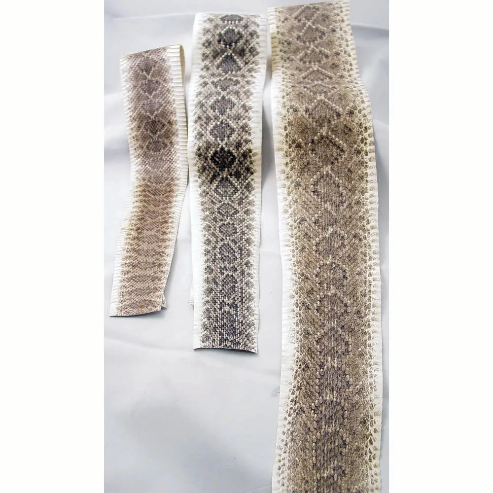 Eastern Rattlesnake Snake Skins - Diamondback Snakeskins