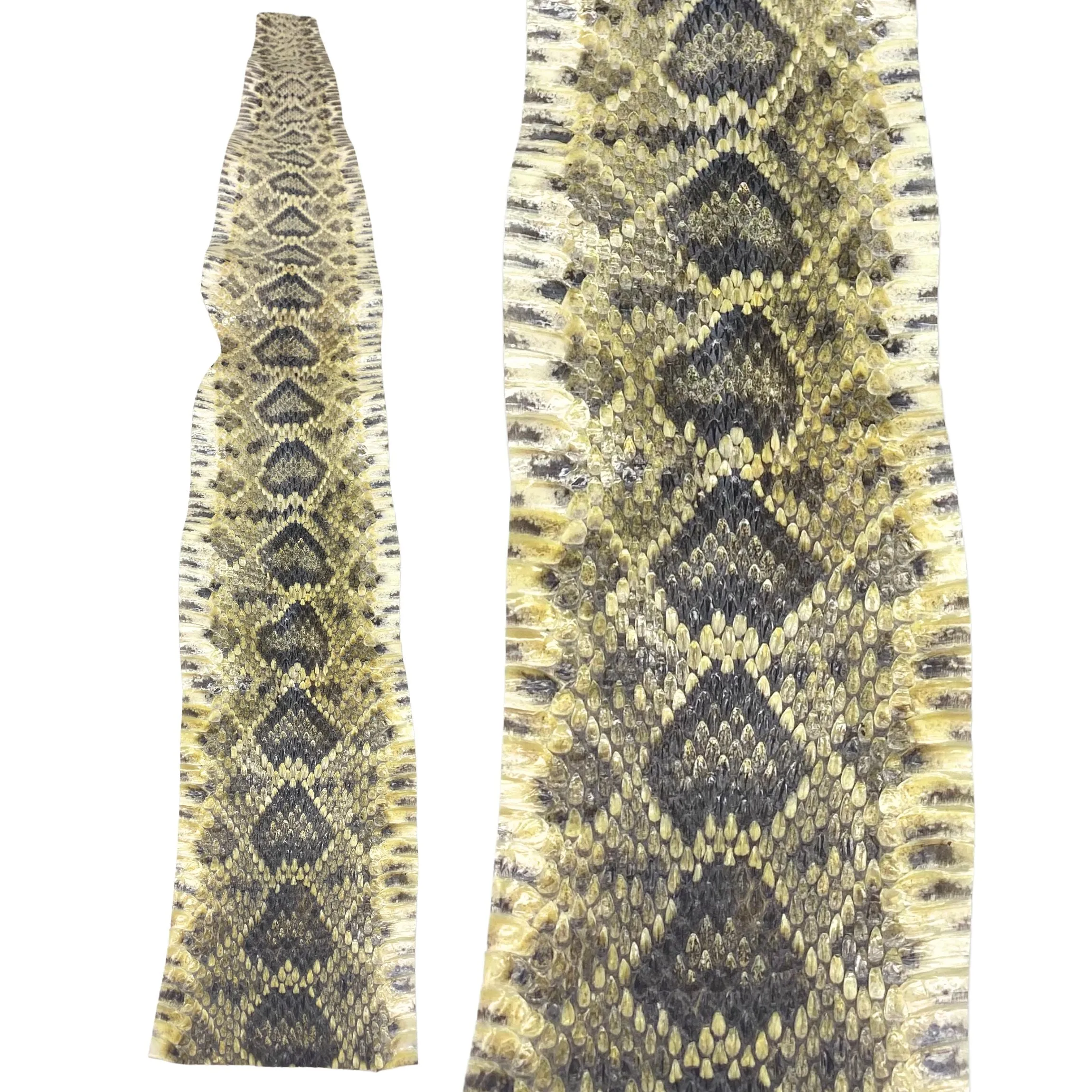 Eastern Rattlesnake Snake Skins - Diamondback Snakeskins