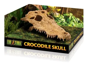 Exo Terra Crocodile Skull