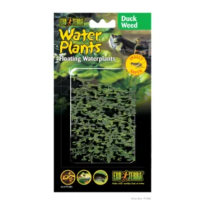 Exo Terra Duckweed Water Plant