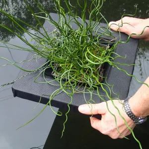 Floating Aquatic Basket Square