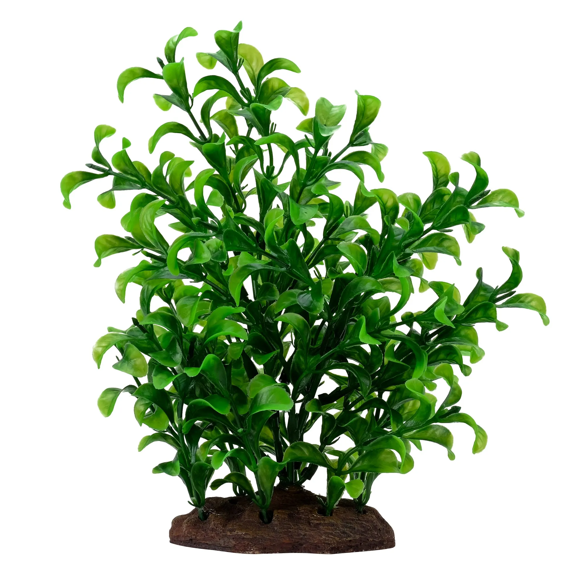 Fluval Aqualife Plant Scapes Large Bacopa Plant 8"/20 cm