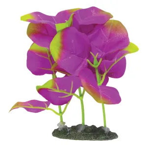 Marina Naturals Indigo Moneywort Foreground Silk Plant