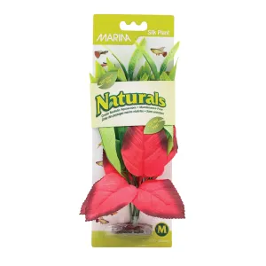 Marina Naturals Red & Green Pickerel Silk Plant