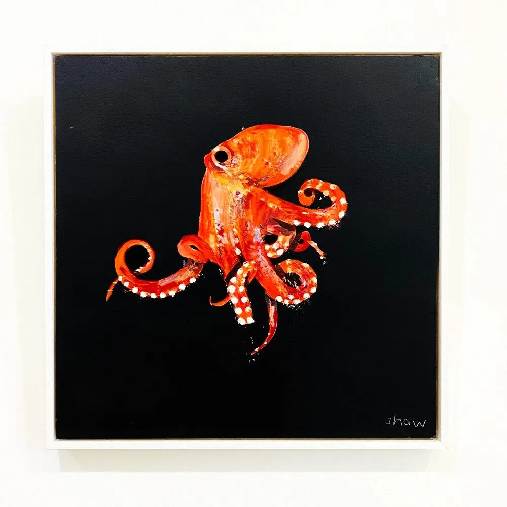 Rob Shaw | Octopus