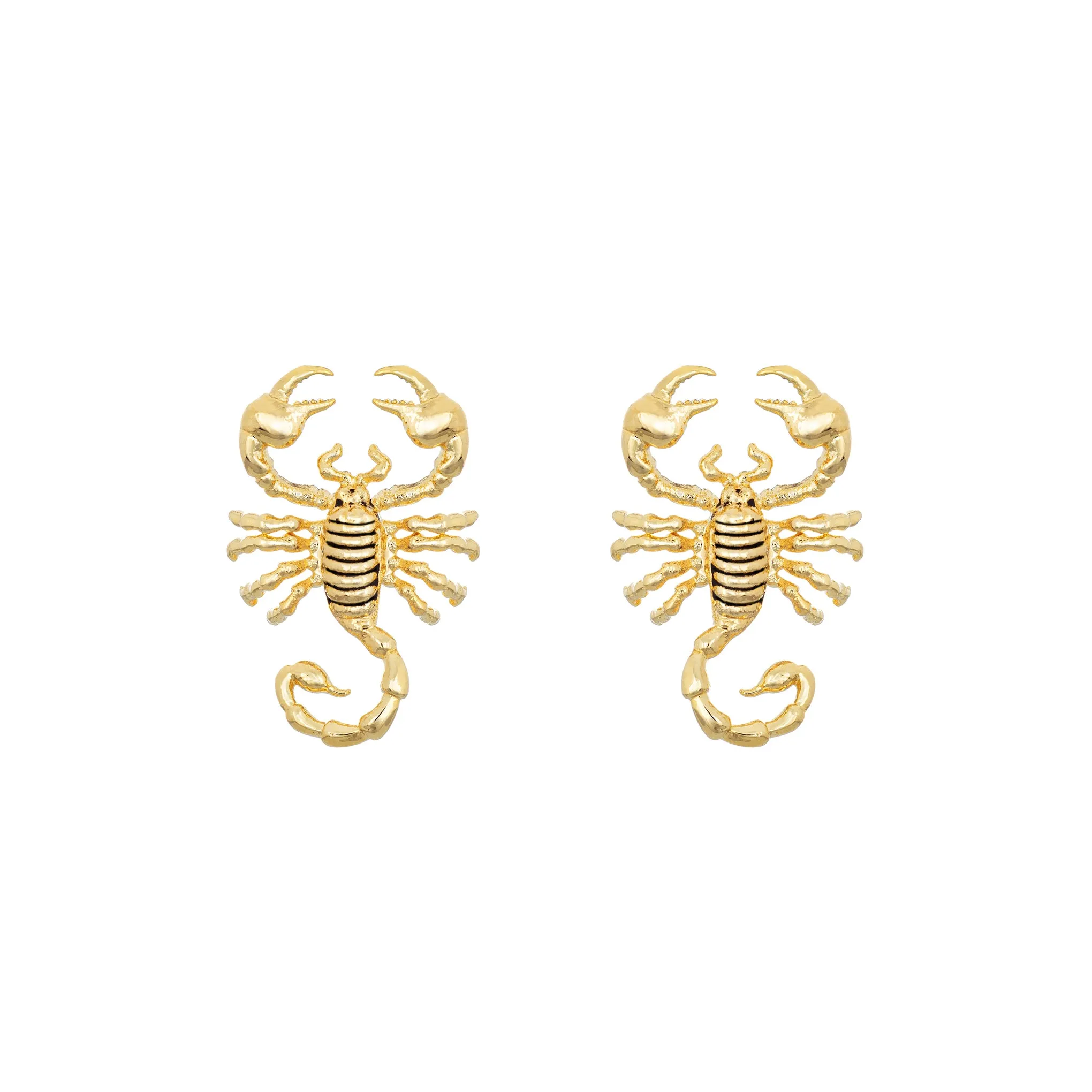 Scorpion Studs