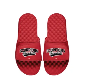 Scorpions Baseball Primary PERSONALIZE Slides