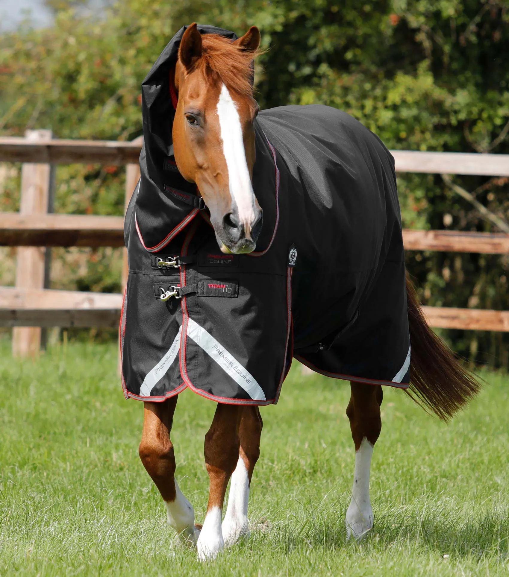 Titan 100g Turnout Rug with Snug-Fit Neck Cover Black