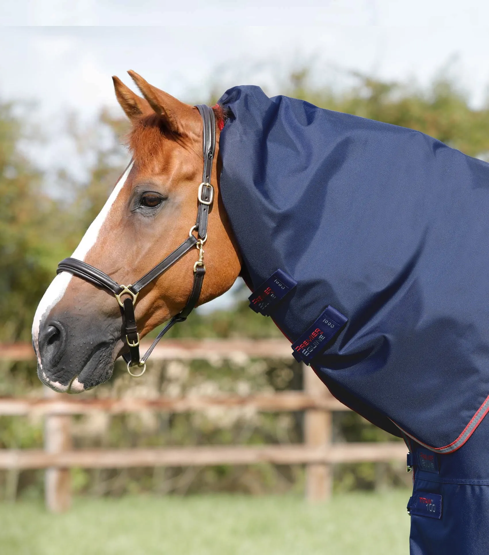 Titan 100g Turnout Rug with Snug-Fit Neck Cover Navy