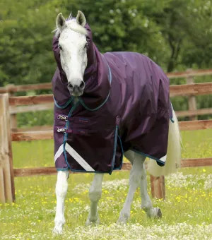 Titan 200g Turnout Rug with Snug-Fit Neck Cover Purple