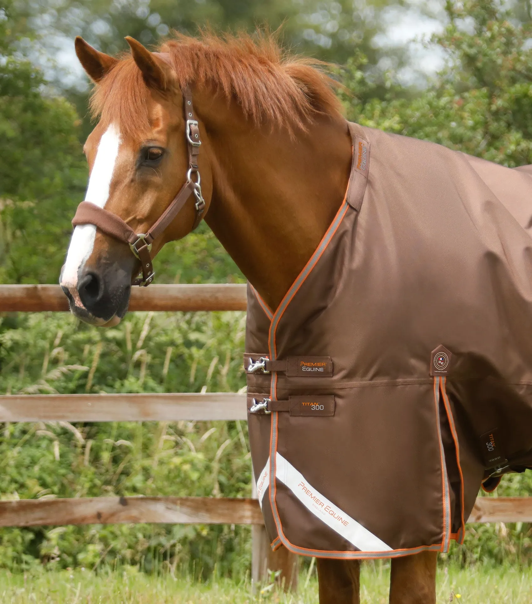 Titan 300g Turnout Rug with Snug-Fit Neck Cover Brown