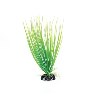 Underwater Treasures Green Hairgrass Plant