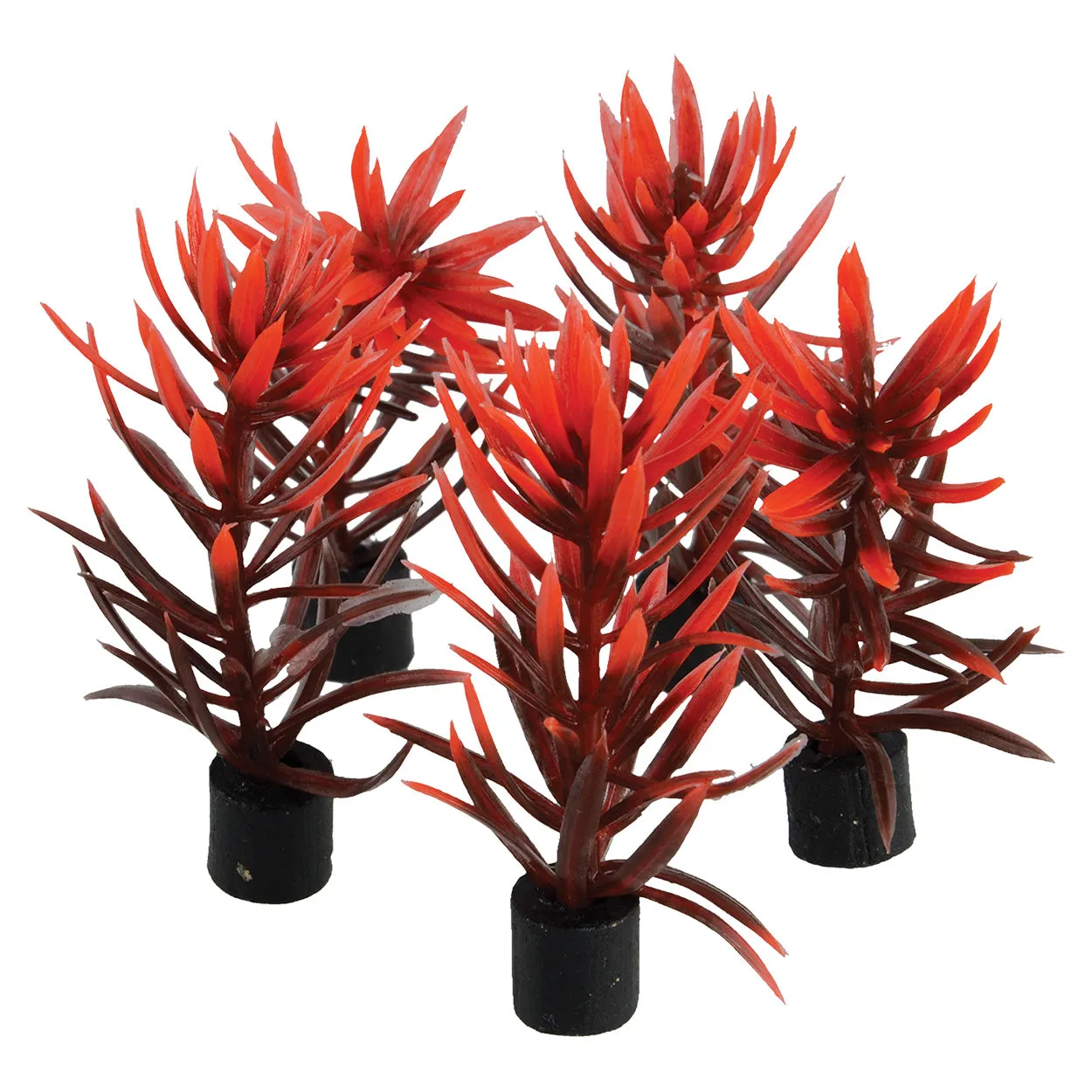 Underwater Treasures Mini Plant Red and Brown 3" 5 pack