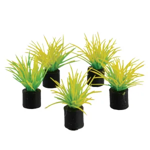 Underwater Treasures Mini Plant Spring Grass 1.25" 5 pack