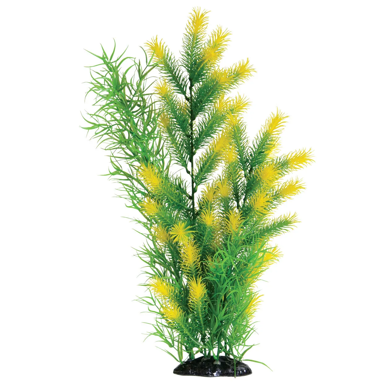 Underwater Treasures Morning Sun Fern Plant 20 inch