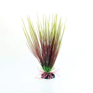 Underwater Treasures Red Green Hairgrass Plant