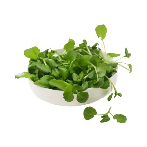 Watercress Crescione Herb Seeds | Weston Seeds